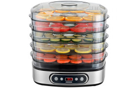 Vaisių džiovyklės  