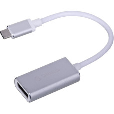 Orico USB adapter Orico USB-C - DisplayPort Grey (XC-103-SV-BP)