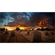 Samsung VM46B-U LCD Vidaus