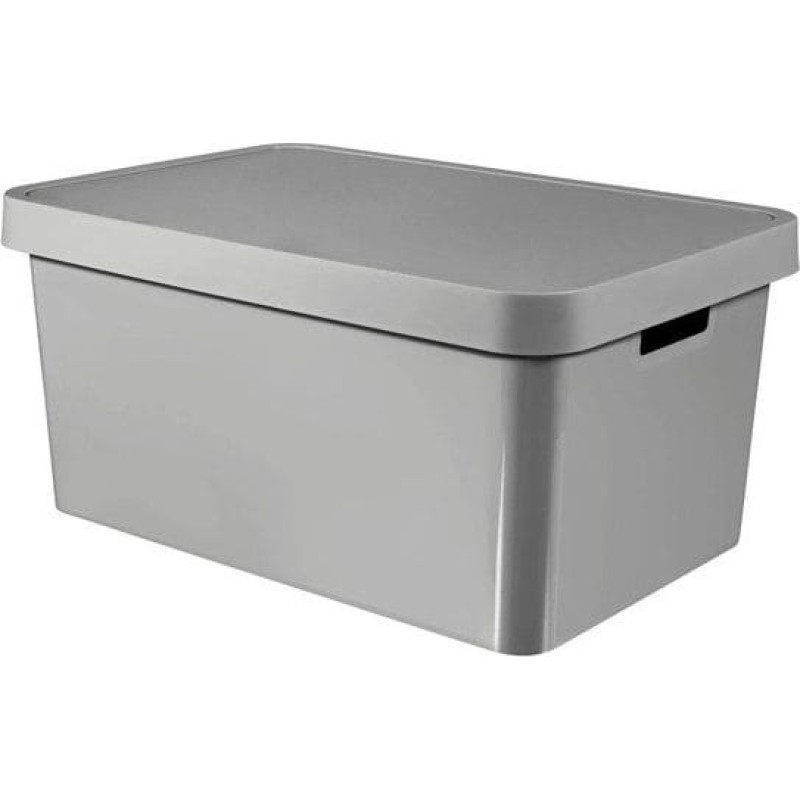 Curver Container Curver INFINITY 45L Bright grey with cover - 233941