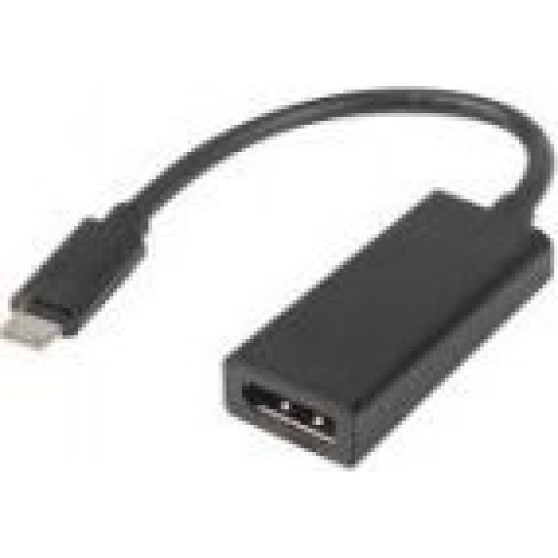 Lanberg USB adapter Lanberg USB-C - DisplayPort Black (AD-UC-DP-01)