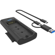 Icy Box IB-180MS-C31 DockingStation M.2 NVMe&SATA SSD