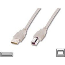 Logilink USB cable LogiLink USB-A - USB-B 5 m White (CU0009)