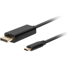 Lanberg USB cable Lanberg USB-C - DisplayPort 1 m Black (CA-CMDP-10CU-0010-BK)