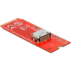 Delock M.2 Key M to 1 x OCuLink SFF-8612 converter, interface card