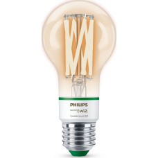 Philips Filamentinė lemputė 60W E27