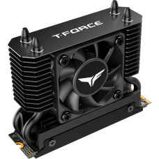 Team Group T-Force GE Pro 4 TB (black/gold, PCIe 5.0 x4 | M.2 2280 | AirFlow I heatsink)