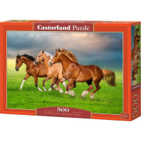 Castorland Dėlionė Castorland Horses in Spring Rush, 500 d.