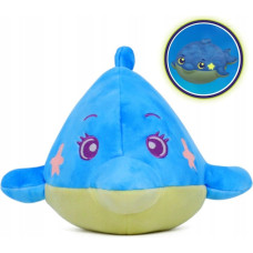 Mapcards DREAM BEAMS - DELFIN DOMINIC 18 CM