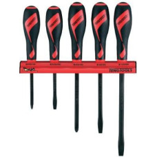 Teng Tools Set of screwdrivers 5pcs (18597-0100)