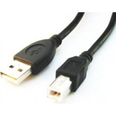 Cablexpert | CCP-USB2-AMBM-6 | USB-A to USB-B USB A | USB B