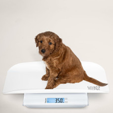 Beurer waga dla zwierząt i ludzi biały PP 170