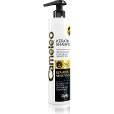 Delia Cameleo Keratin shampoo for hair destroyed 250 ml