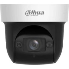Dahua Technology NET CAMERA 4MP PTZ DOME/SD29404DB-GNY DAHUA