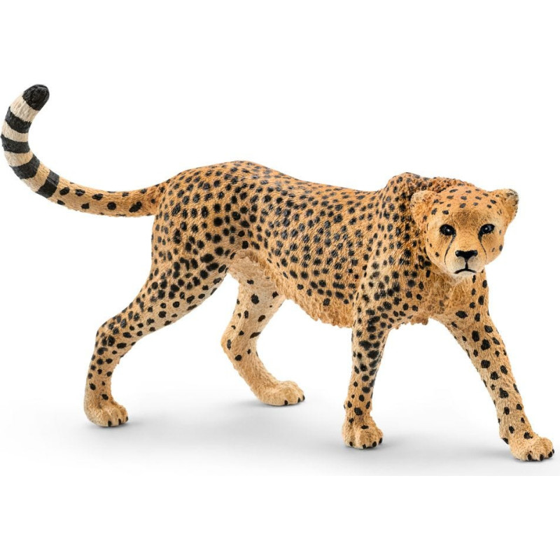 Schleich WILD LIFE 14746 žaislinė figūrėlė vaikams