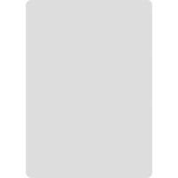Niimbot Thermal labels Niimbot stickers 50x70 mm - 100 pcs. Silver