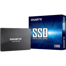 Gigabyte SSD|GIGABYTE|256GB|SATA 3.0|Write speed 500 MBytes/sec|Read speed 520 MBytes/sec|2,5"|TBW 100 TB|MTBF 2000000 hours|GP-GSTFS31256GTND
